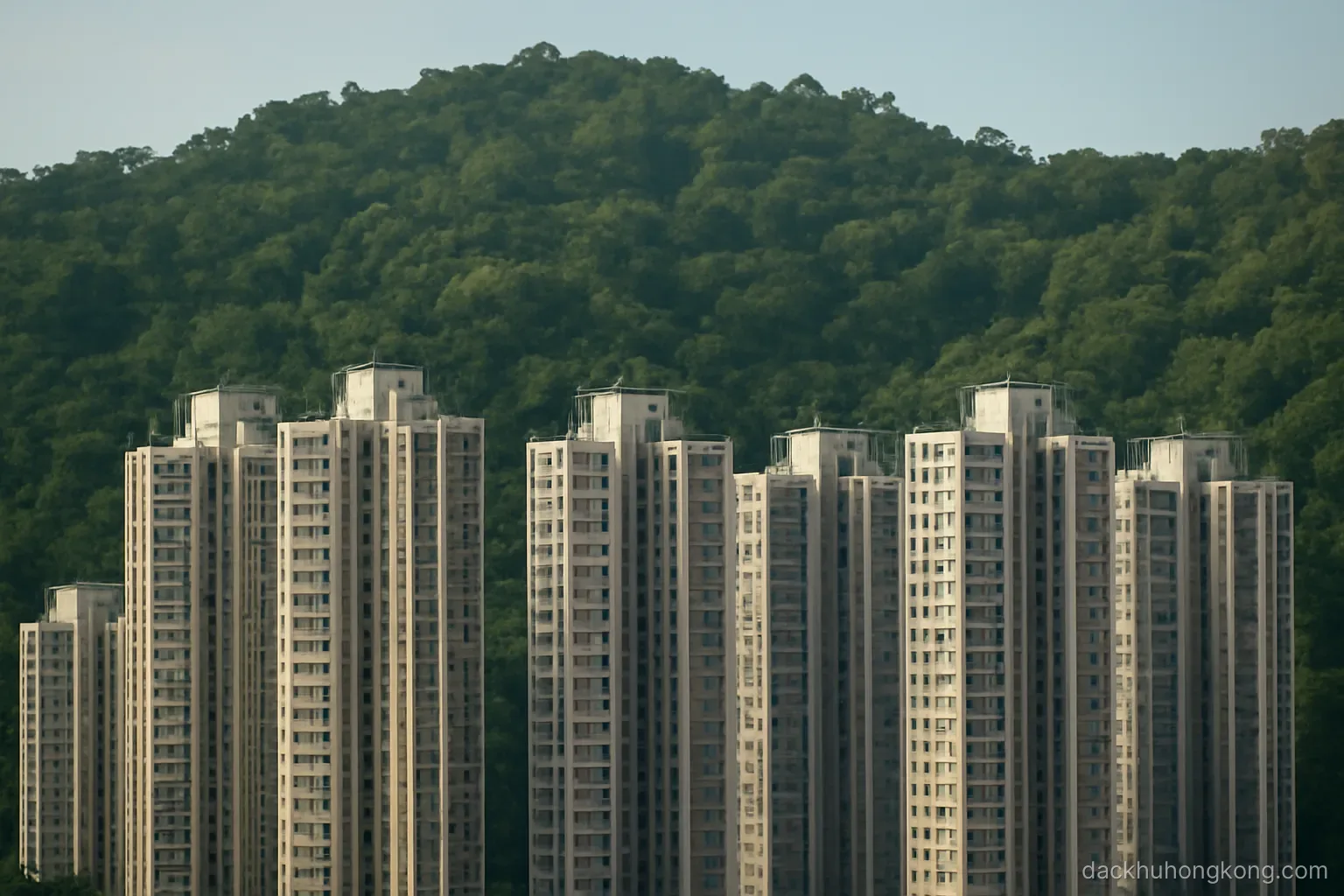 a densely forested ridge rising immediately behind the last row of very tall residential towers